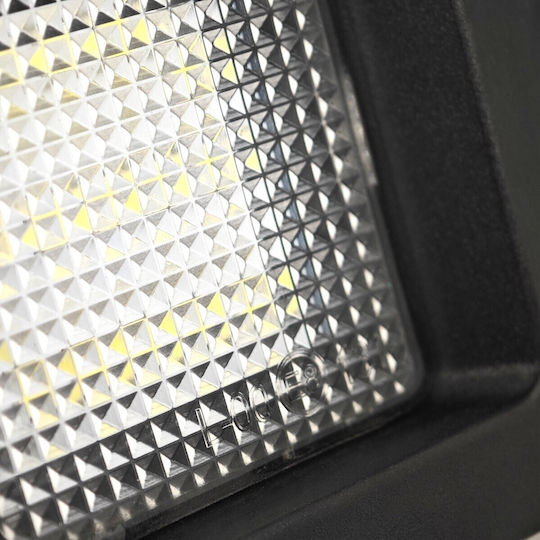 Ford Raptor Led Number Plate Lights 2pcs
