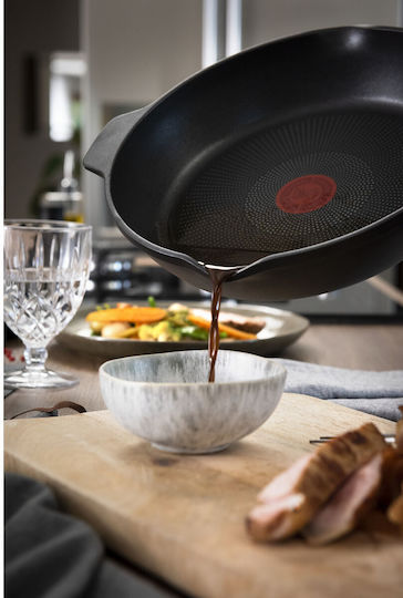 Tefal Robusto Pan made of Cast Aluminum with Non-Stick Coating 24cm