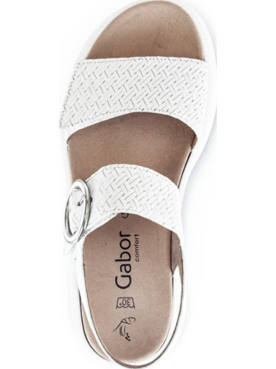 Anatomic Women's Leather Platform Shoes White