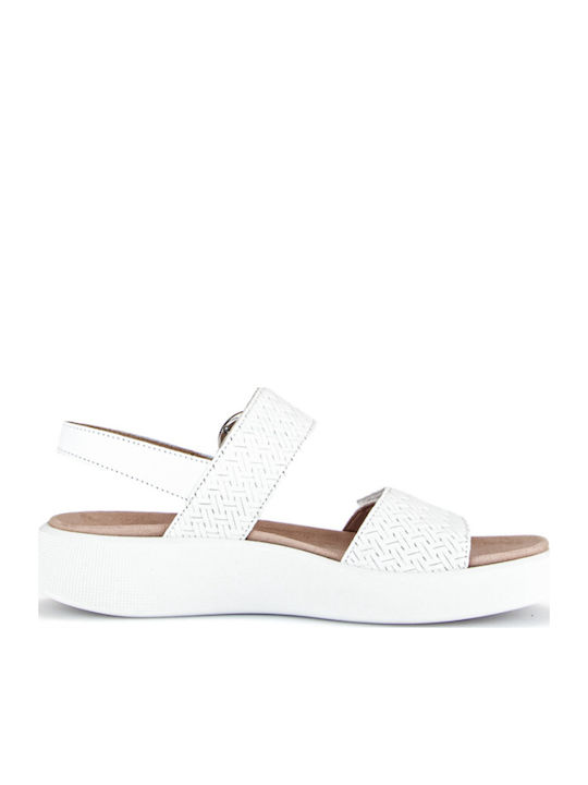 Anatomic Women's Leather Platform Shoes White