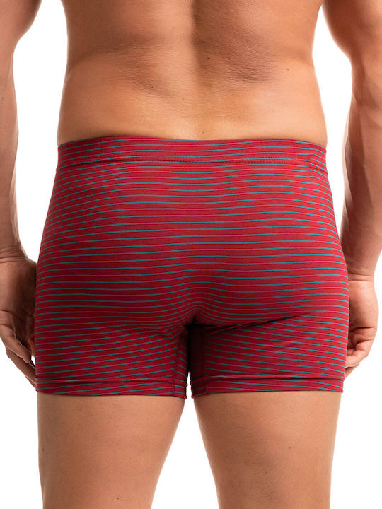 Men's Boxer Bordeaux