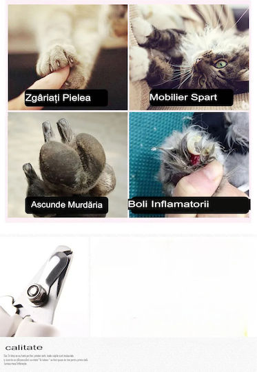 Onepet Pet Grooming Set Size Pieptene Mici pentru câini cu părul lung pentru Îngrijirea Blănii Albastru