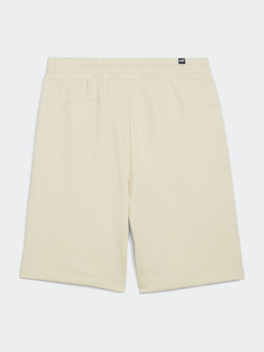 Puma Sportliche Herrenshorts Alpine Snow