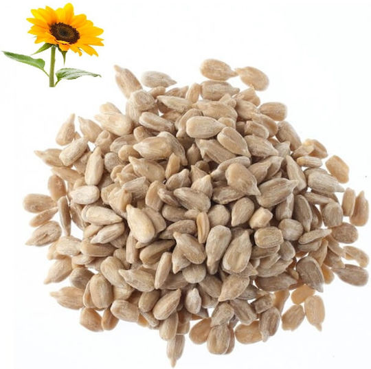 Sunflower Seeds Caramelized Peeled Unsalted 500gr 90012-500