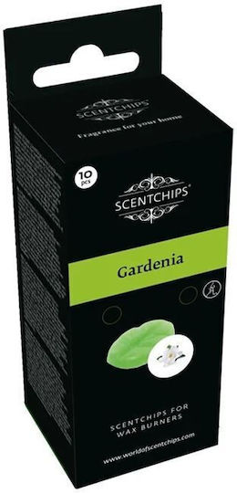 Scentchips Duft-Wax Melt 2700120 10Stück