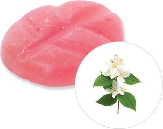 Scentchips Duft-Wax Melt mit Duft Jasmin 2700200 10Stück