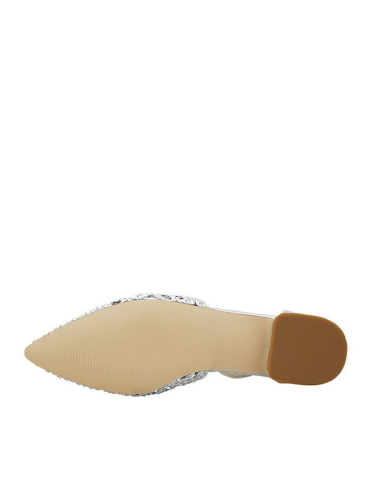Leather Ballerinas Radel Silver
