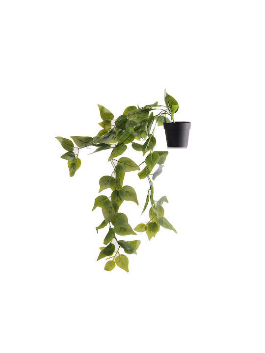 Πόθος σε Γλάστρα Supergreens Πόθος σε Γλάστρα Supergreens