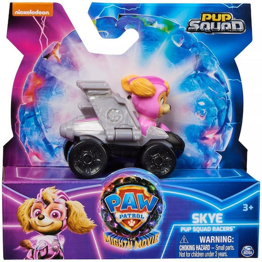 Spin Master Paw Patrol assorted για 2+ Ετών (Διάφορα Σχέδια)