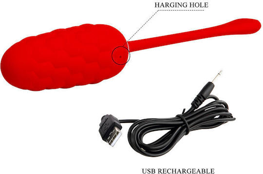 Pretty Love Vibrating Egg Red Rechargeable Marine Texture