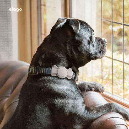 Elago Pet Collar Case Silicone for AirTag in Gray color