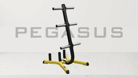 Pegasus OK‑0035B Весова стойка за Плочи с тежести / Барове за тежести