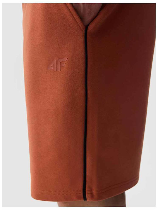 Men's Shorts Brown