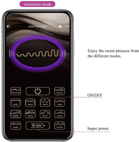 Pretty Love Elvira Kegel Balls App Remote Control Purple