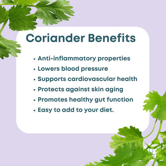 Ground Coriander Seeds from Syria 20g