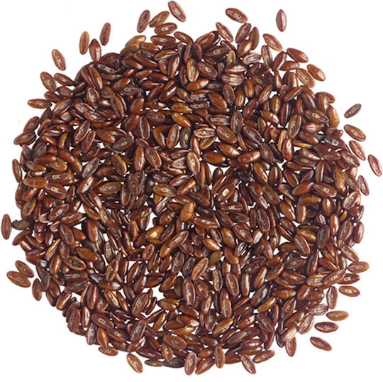 Psyllium Psyllium Seed Greek 20 Gr