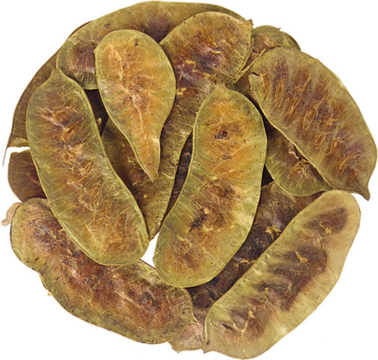 Alexandrinische Sennesblätter Indische Sennesblätter 50 Gr