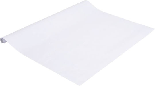 vidaXL Sticker Display Sandblasting 60cm x 10m Transparent 155735 1pcs
