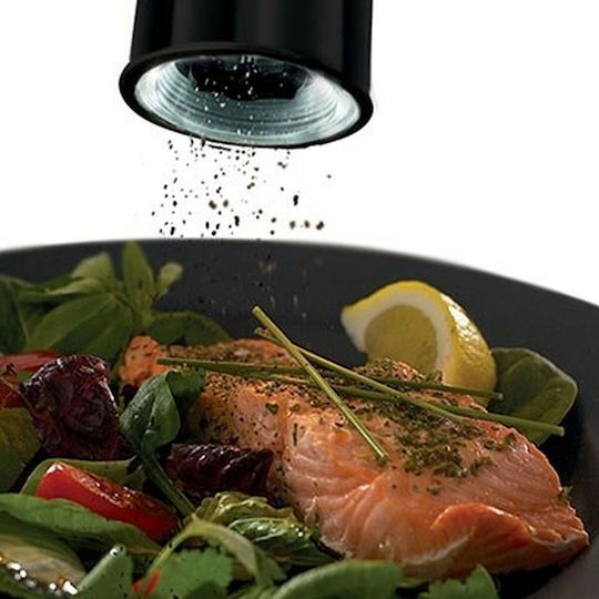 Russell Hobbs Elektrisch Gewürzmühlen Inox in Schwarz Farbe 2Stück