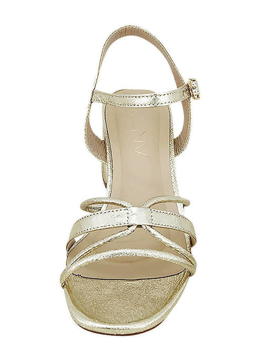 Envie Shoes