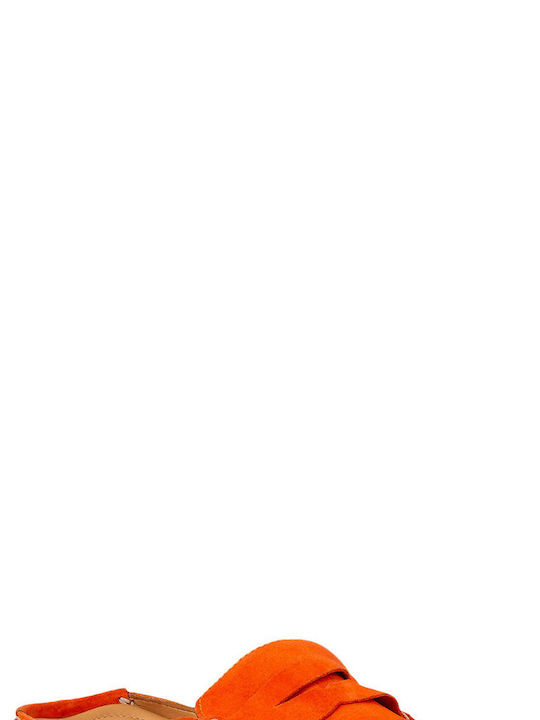 Sigotto