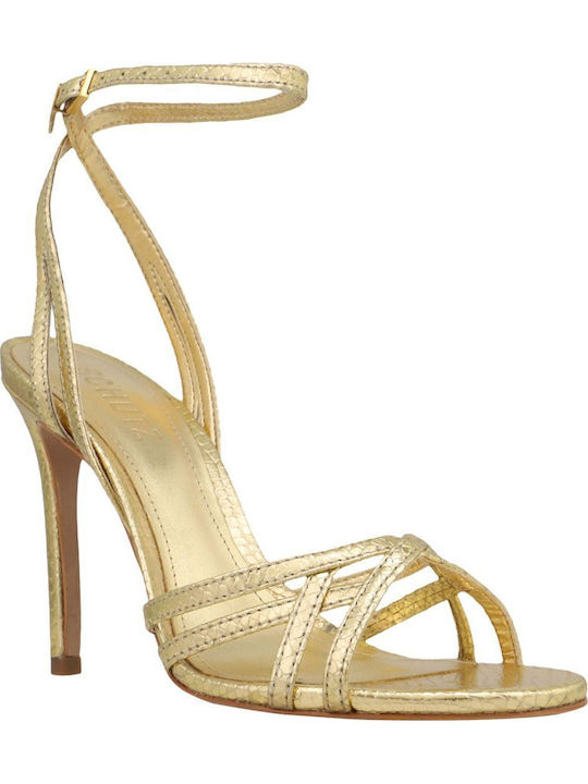 Schutz