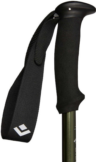 Black Diamond Explorer Wanderstock