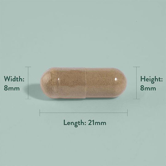 Holland & Barrett 90 капси