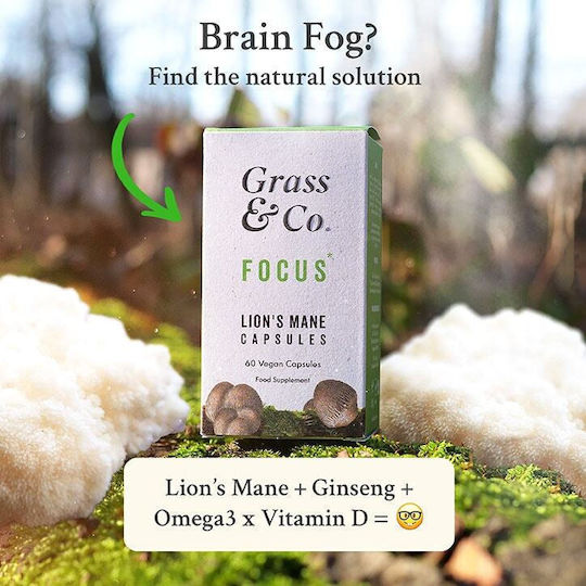 Grass & Co Focus 60 вегетариански капсули