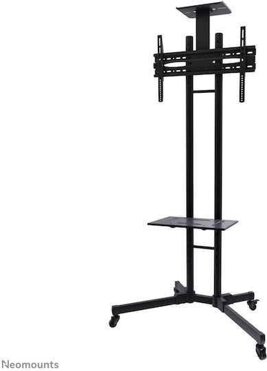 Newstar PLASMA-M1700ES PLASMA-M1700E Suport TV pardoseală până la 55" și 35kg