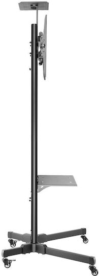 Newstar PLASMA-M1700ES PLASMA-M1700E Suport TV pardoseală până la 55" și 35kg