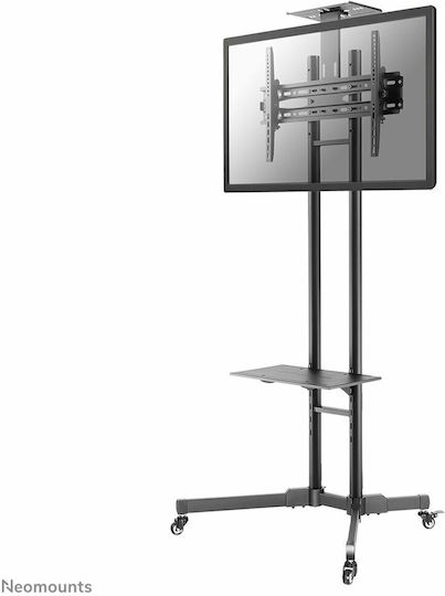 Newstar PLASMA-M1700ES PLASMA-M1700E Suport TV pardoseală până la 55" și 35kg