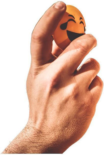 Meinl Face Shaker Standard