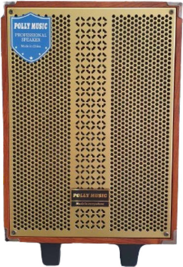 LTC Audio Karaoke-Lautsprecher mit Kabellosen Mikrofonen BT150 BT150 Braun