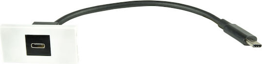 Avlink 122.537uk Επιτοίχια Μονάδα Σύνδεσης Usb Type C Τεμάχιο