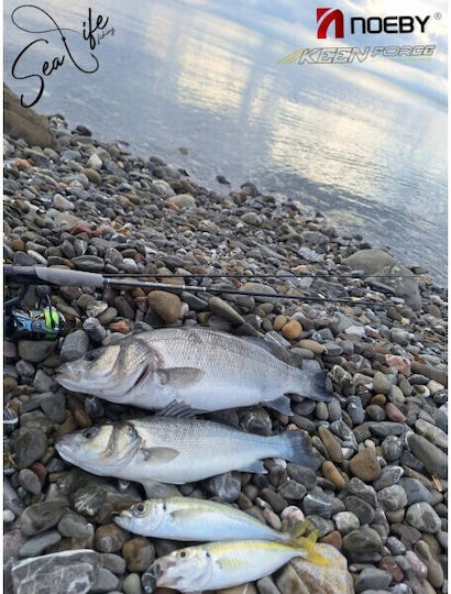 Noeby Legend Μηχανισμός Ψαρέματος για Spinning / Eging / Shore Jigging / Casting / Surf Casting / Καθετή / Συρτή / Inchiku