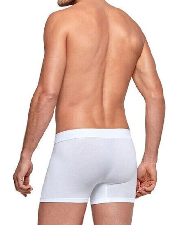 Impetus Men's Boxer White