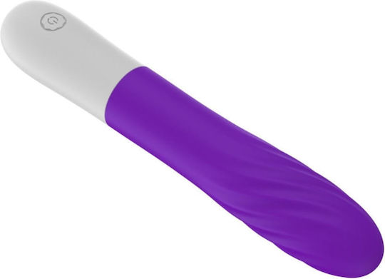B-Series Joy Vibrator G-Spot 20cm Purple