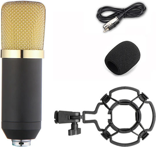 Studio ΒΜ-700 Πυκνωτικό XLR Microphone Tabletop for Studio