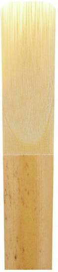 Daddario Woodwinds Schilfrohr 1Stück