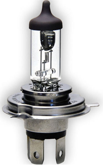 Cartech Lamps Car H4 Halogen 12V 55W 1pcs