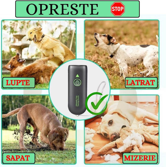 Ultraschallgerät Ausbildung Hund