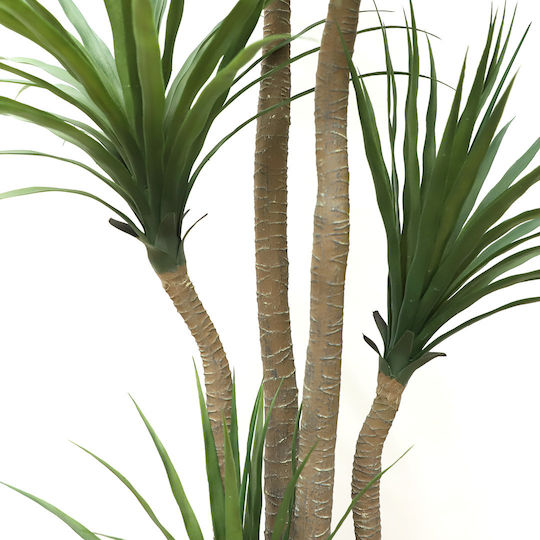Brown Outdoor Dracaena Newplan