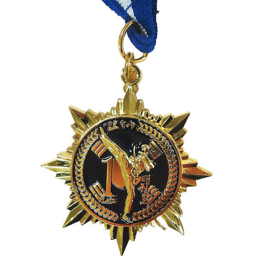 Olympus Sport Copper Medal Martial Arts