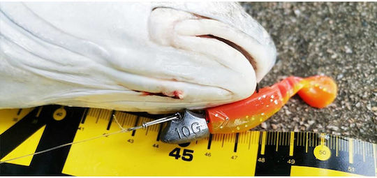 Ecooda Cap de Plumb pentru Pescuit