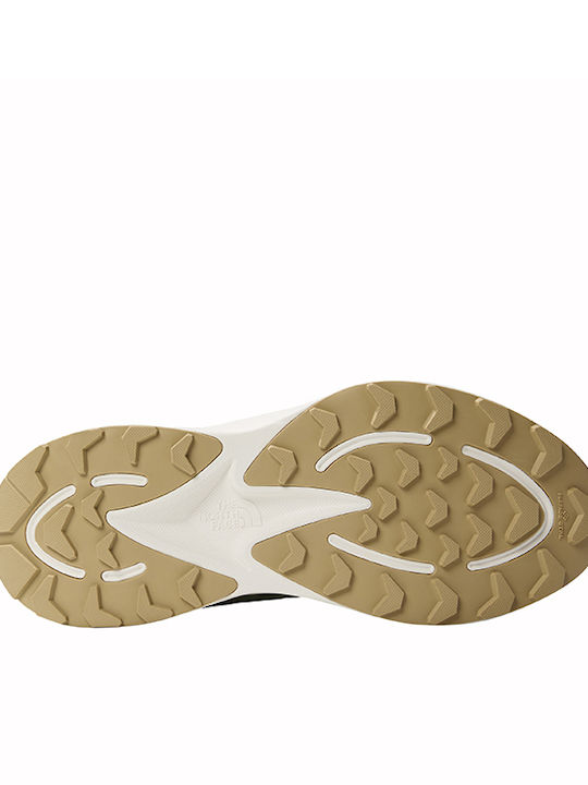 Hypnum Sneakers Mint