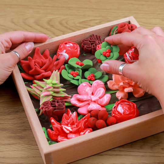 DIY Creative Clay Wood & Craft Suculente Suculente Passion Construction Set