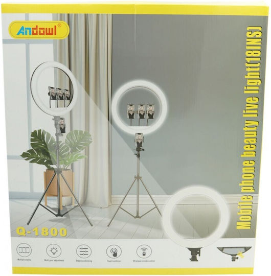 Andowl Ring Light 44cm 3200 - 5800K with Tripod Floor and Mobile Holder