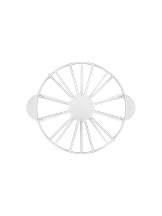 Ibili Instrument de Patiserie din Plastic