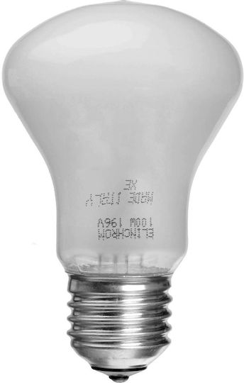 Elinchrom Adjsustment Light 196V 100W Replacement Lamp Daylight 100W